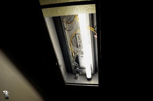 D12_incidental_S00_01a